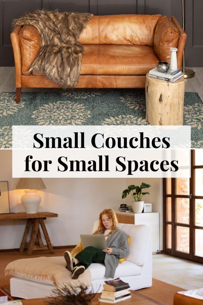 Small Couches for Small Spaces