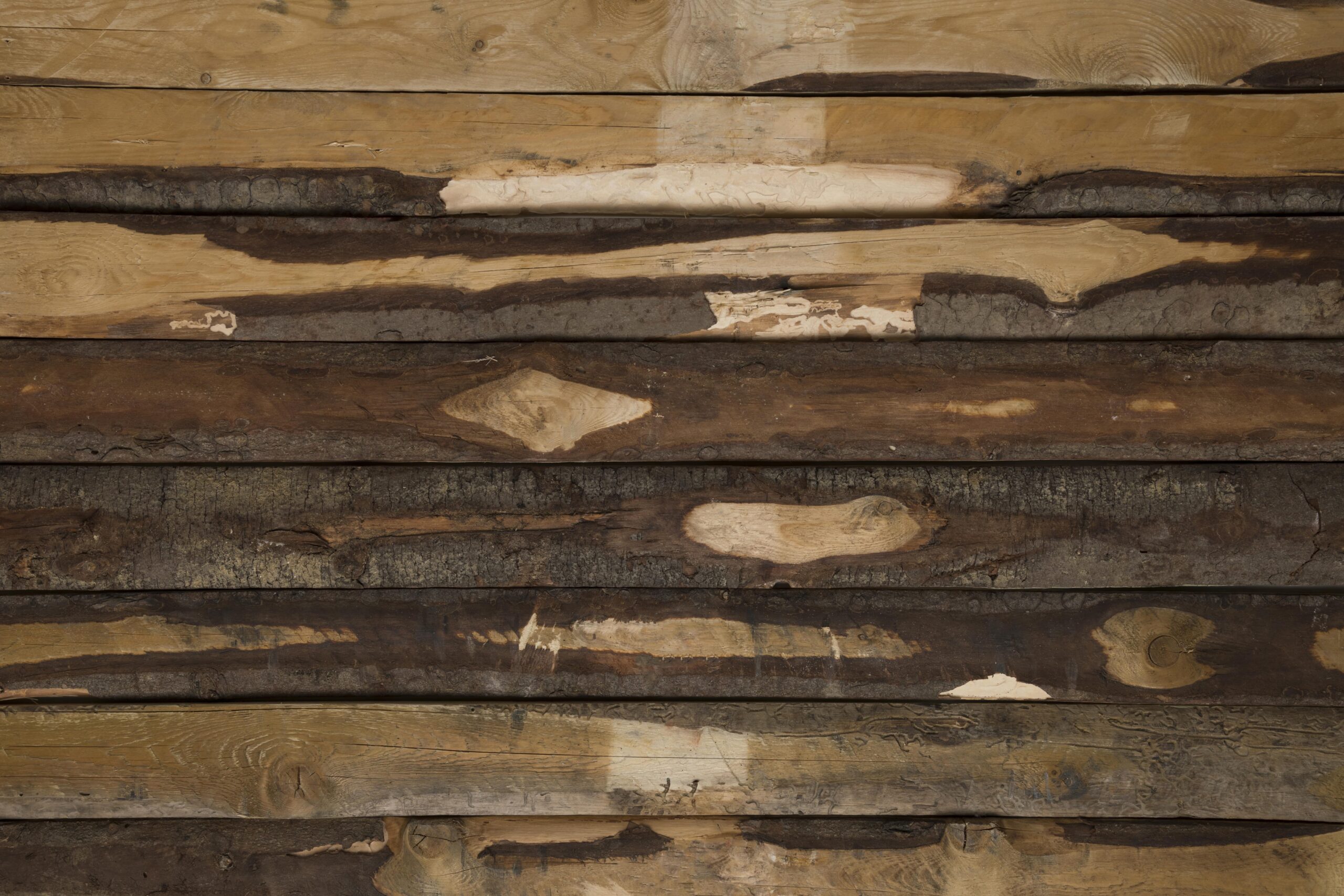 Eco-Friendly Bathroom Makeover 3 Salvaged and upcycle woods