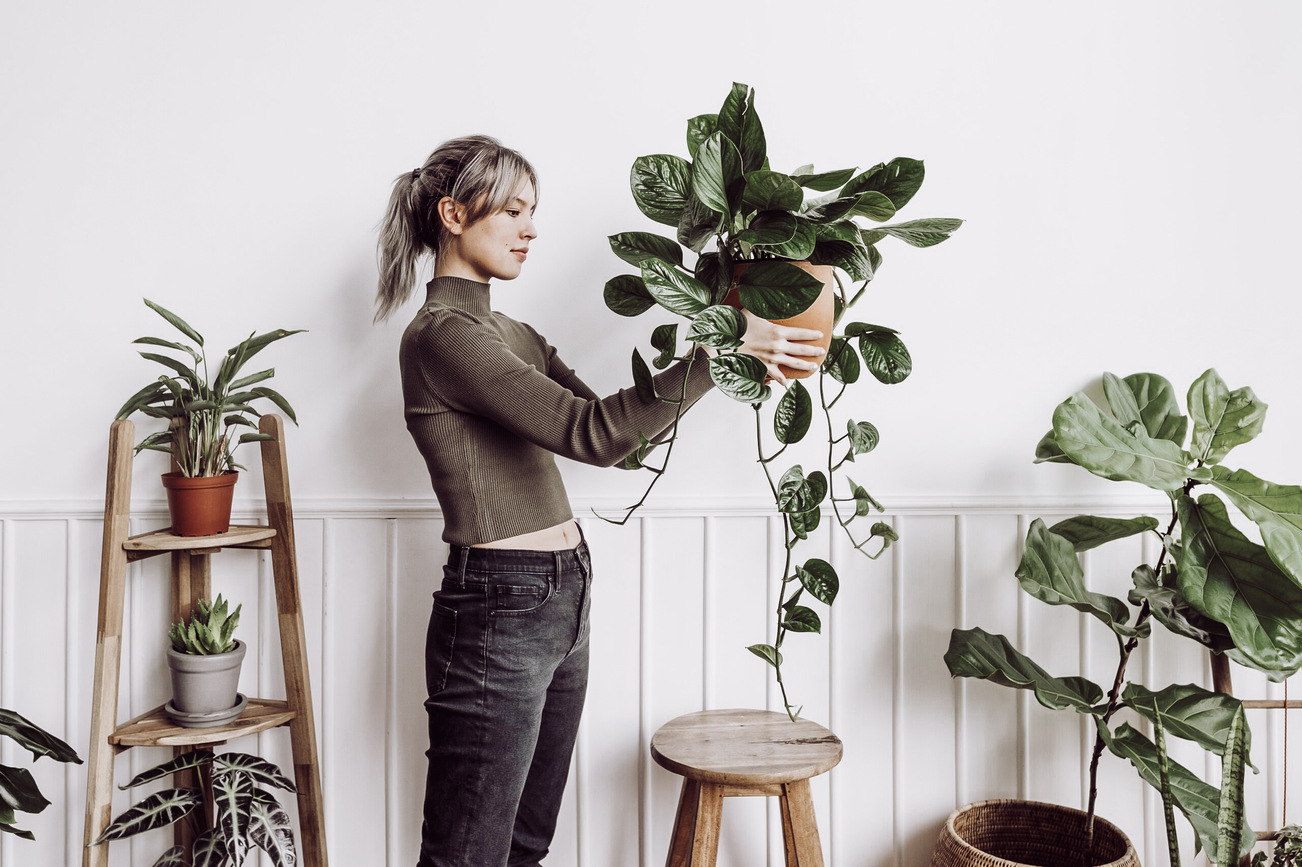 13 Best Ways to Decorate a Living Room with Indoor Plants (Even in Small Spaces)