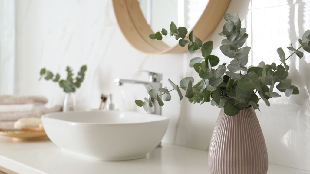 Rejuvenate Your Bathroom with Indoor Plants 2024