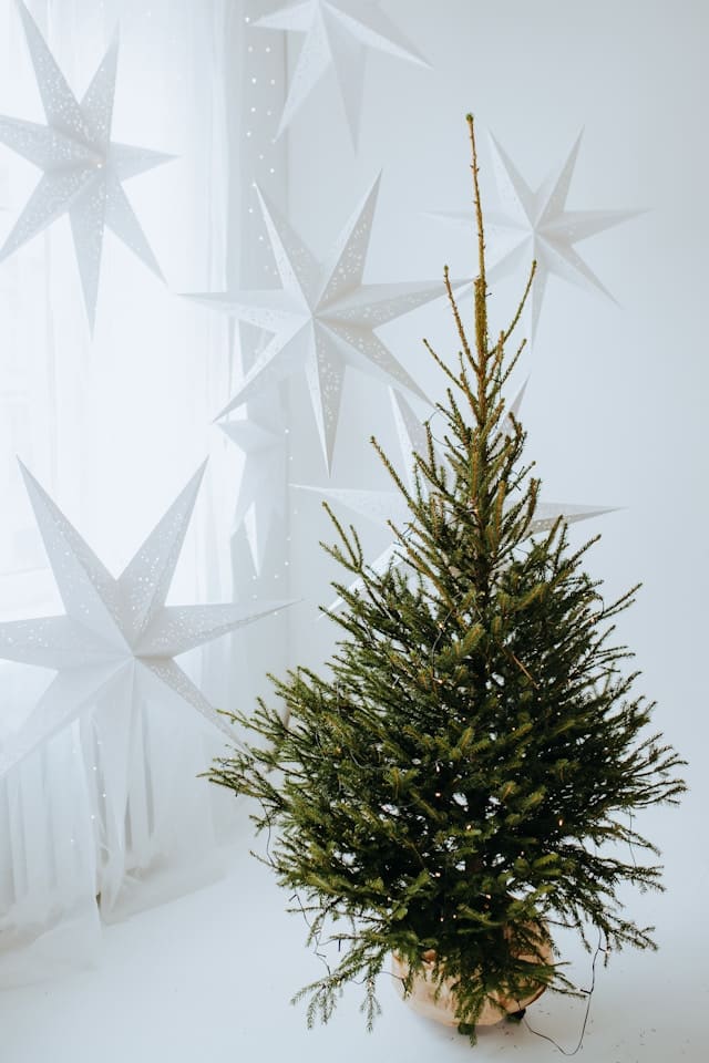 White Christmas Decor Ideas Small white christmas decor ideas