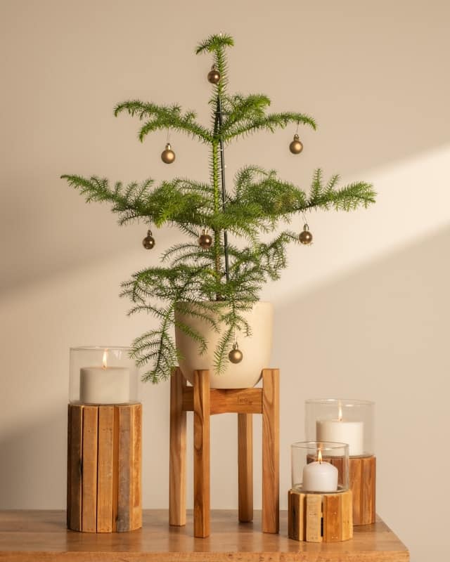 Neutral Christmas Decor Ideas Neutral christmas decor ideas pinterest