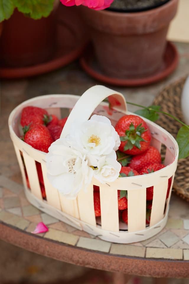 Neutral Christmas Decor Ideas White:cream holiday storage baskets